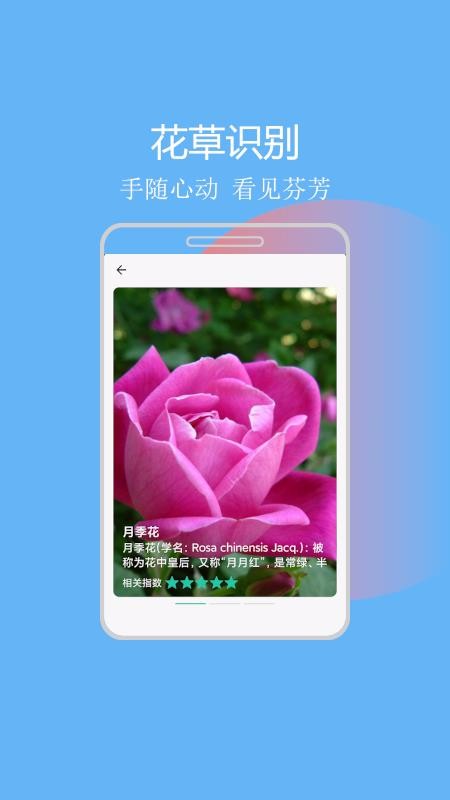 ʶͼֻapp-ʶͼ v1.1.0 ׿