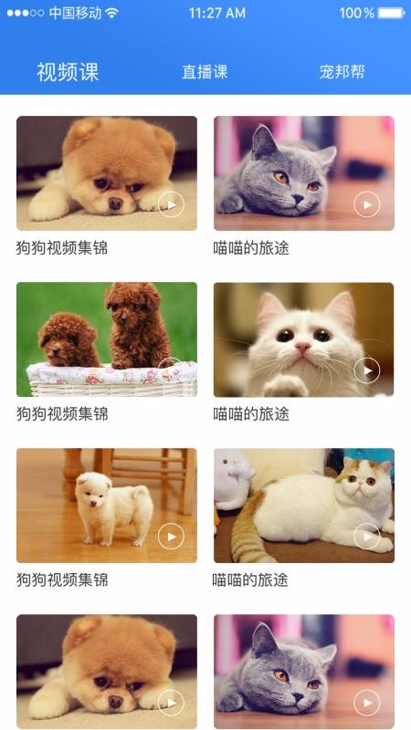 ֻapp- v2.5.4 ׿