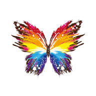 ֻapp- v1.3.2656 ׿