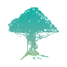ҽֻapp-ҽ v2.2.2 ׿