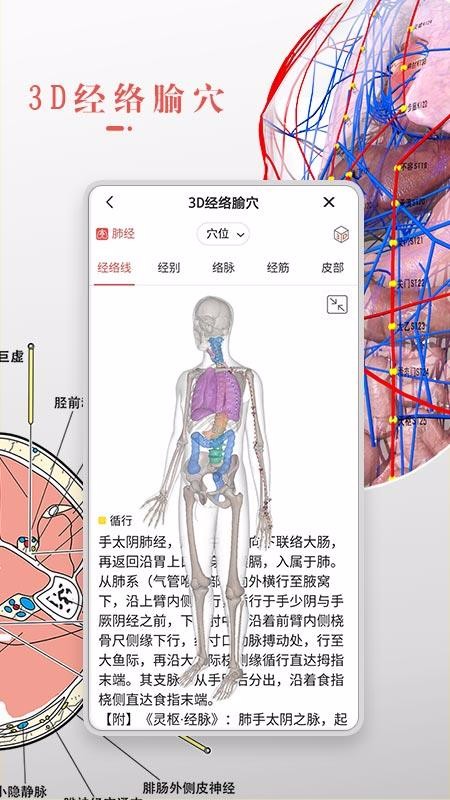 3Dbodyֻapp-3Dbody v8.3.2 ׿