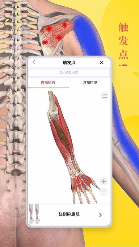 3Dbodyֻapp-3Dbody v8.3.2 ׿