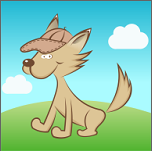 ǰֻapp-ǰ v1.0.5 ׿