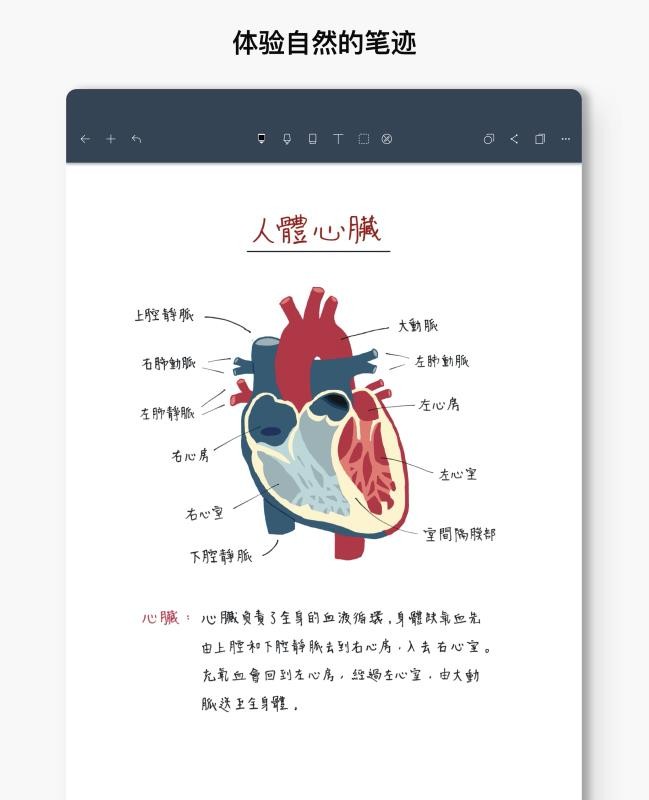 Noteshelfֻapp-Noteshelf v4.7 ׿