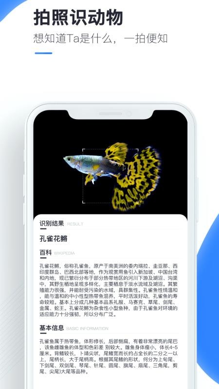 ٿɨֻapp-ٿɨ v 1.0.1 ֻ