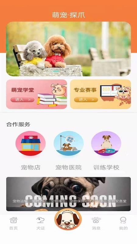 探爪手机app下载-探爪 v1.0.9 安卓版