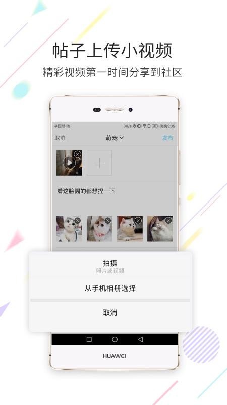 ֻapp- v2.4.5 ׿