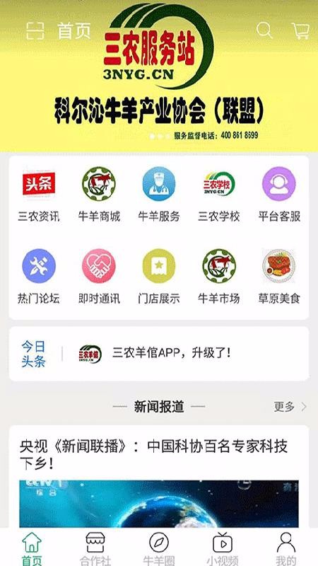 ũֻapp-ũ v1.0 ׿