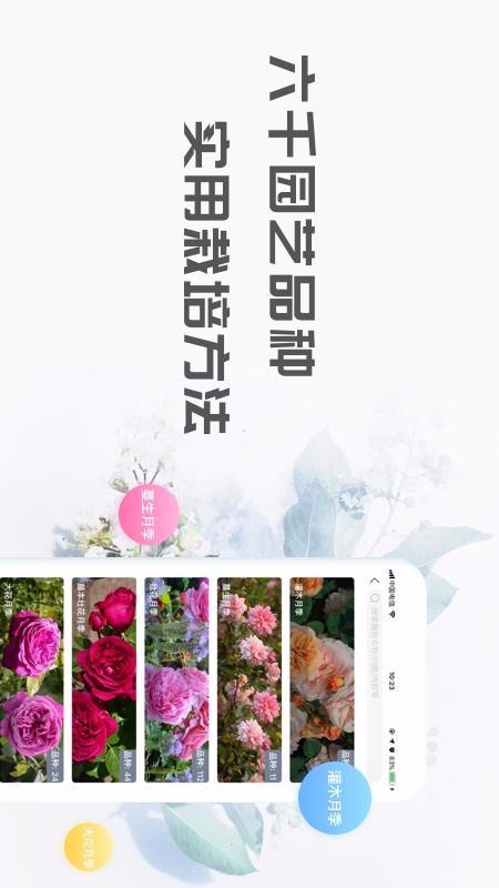 ֻapp- v1.8.8 ׿