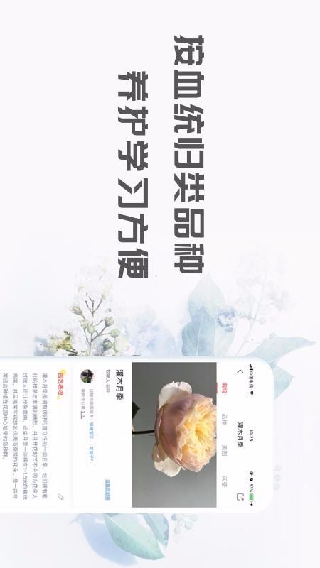 ֻapp- v1.8.8 ׿