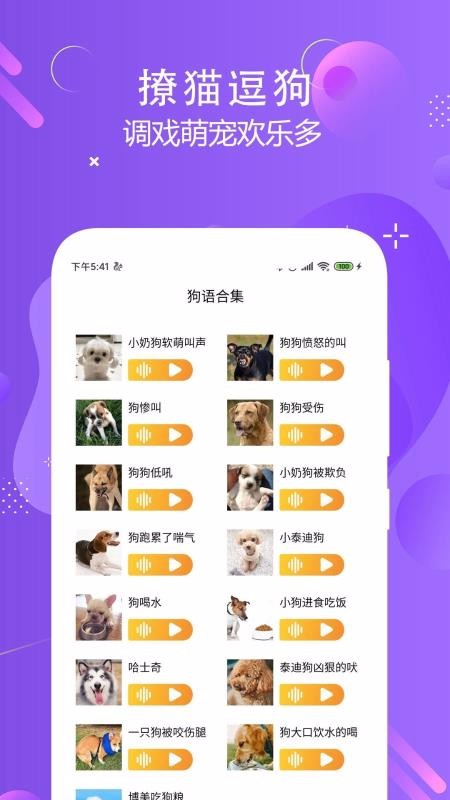 èԷ뽻ֻapp-èԷ뽻 v1.3 ׿