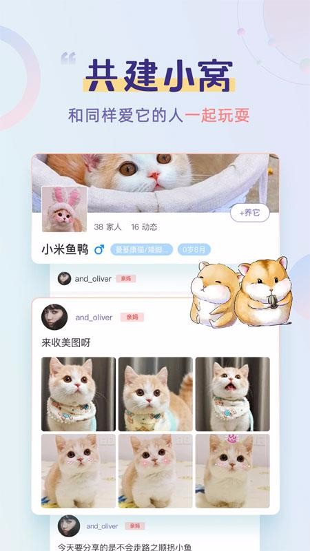 ֻapp- v1.0.3 ֻ