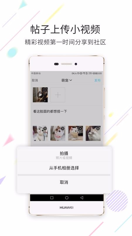 ֻapp- v3.1.14 ׿