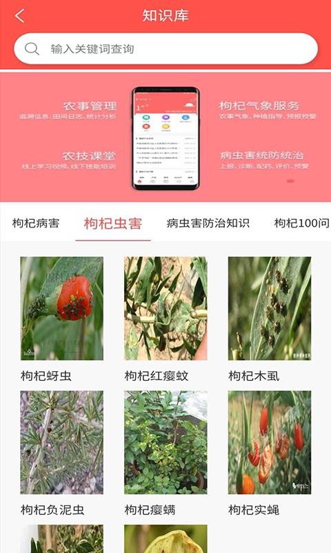 бֻapp-б v1.4.4 ׿