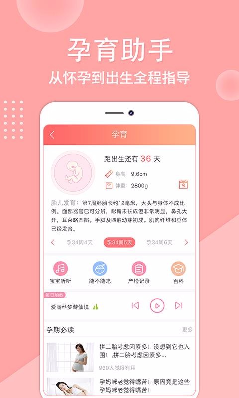 ױֻapp-ױ v1.0.2 ֻ