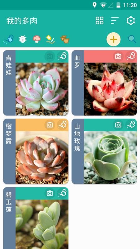 ɳֻapp-ɳ v3.1.6 ׿