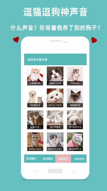 èԽֻapp-èԽ v1.0.4 ׿