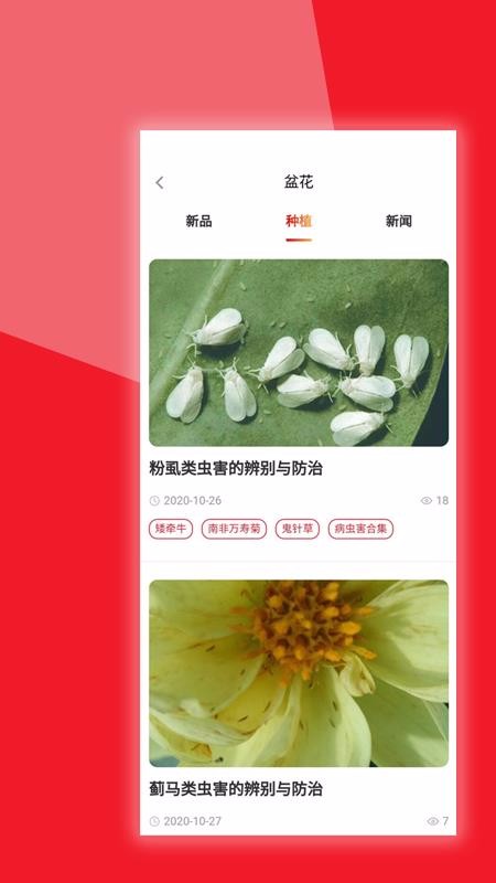 ϲִֻapp-ϲִ v1.0.7 ֻ