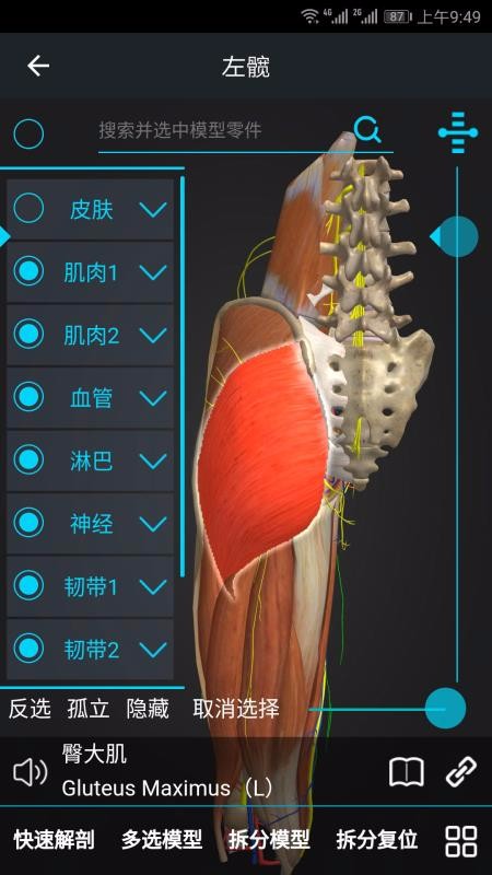 ҽάֻapp-ҽά v1.5.5 ׿