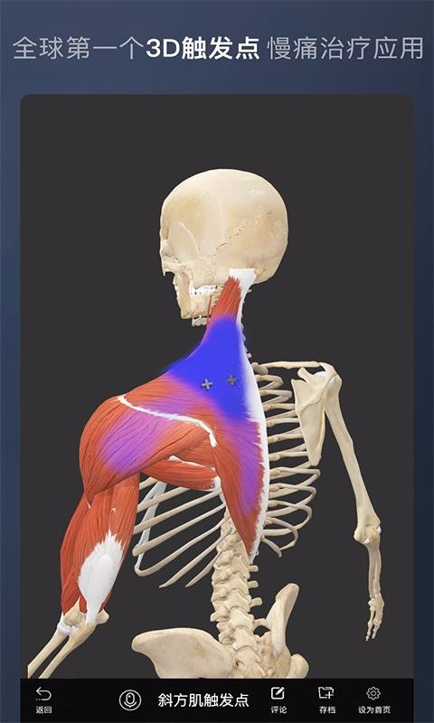 ά3Dֻapp-ά3D v4.5.2 ׿