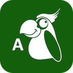 Ӣֻapp-Ӣ v6.0.12 ֻ