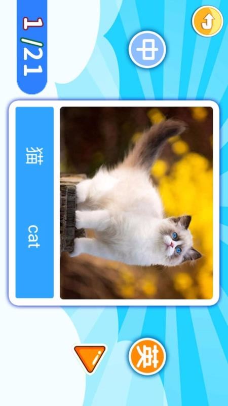 Ӣֻapp-Ӣ v4.60.2011 ׿