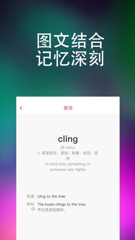 ֻapp- v1.0.13 ׿