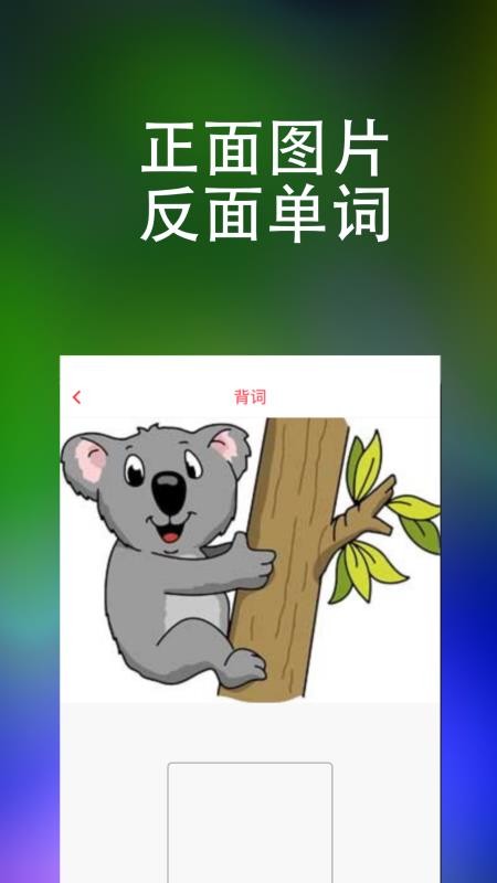 ֻapp- v1.0.13 ׿