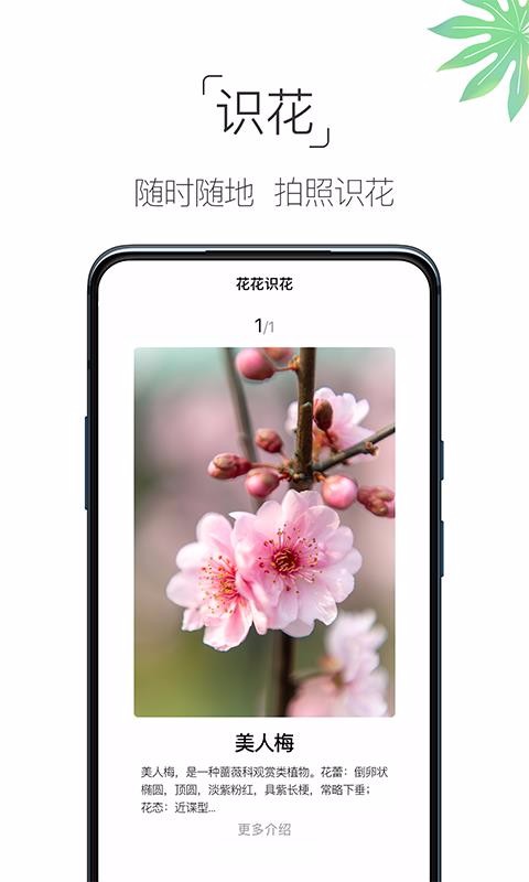 ȫֻapp-ȫ v4.2.5 ֻ
