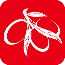 彧ֻapp-彧 v1.1.3 ֻ