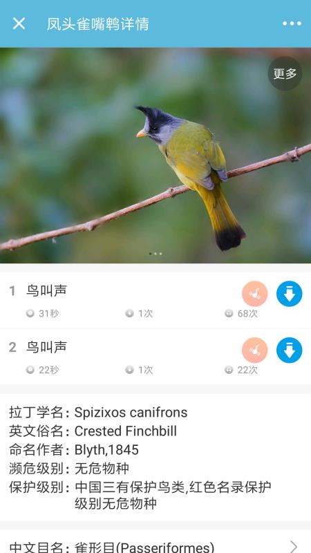 鸟叫声大全手机app下载-鸟叫声大全 v3.5.0 手机版
