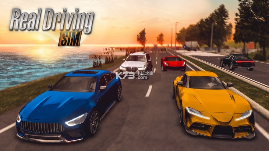 ʵʻģrealdrivingsim2019v4.8