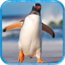 企鹅模拟器安卓版下载-企鹅模拟器下载v1.0
