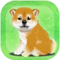 养育柴犬的治愈破解版-养育柴犬的治愈游戏破解版下载v2.6无限金币版