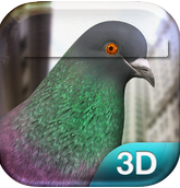 Pigeon Simulator-Pigeon Simulatorv1.2