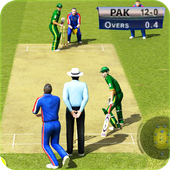 Cricket World Cup Game游戏下载v1.1