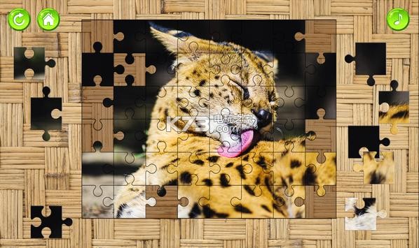ʵèƴͼϷ-Cats Jigsaw Puzzlesv1.1
