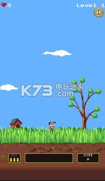 Duck Hunter-Duck HunterϷv1.45