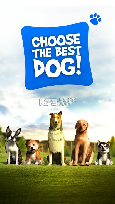 ģ⹷׿ֻ-Dog Simulatorapkv2.2.3