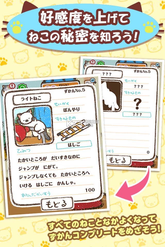 èռèдˣ׿ֻ-èռèapkv1.0