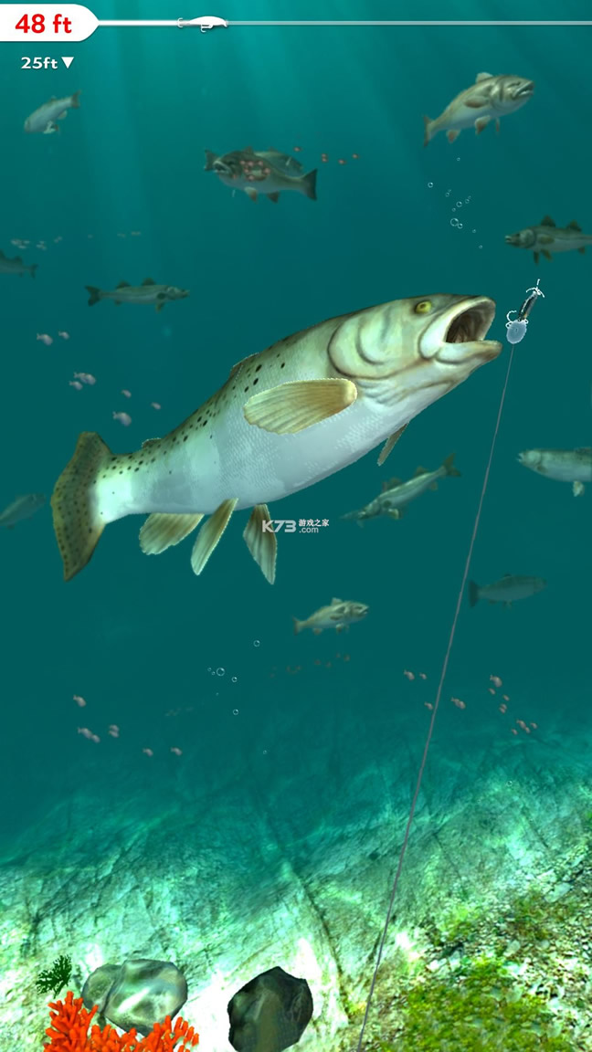 Rapala Fishingƽ-Rapala FishingϷƽv1.6.24޽