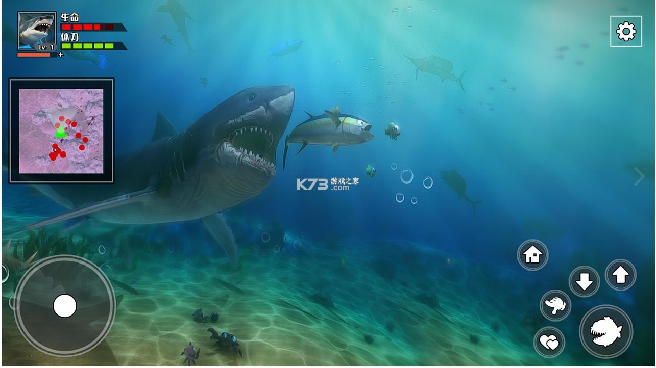 ׿-Ϸv1.0.0