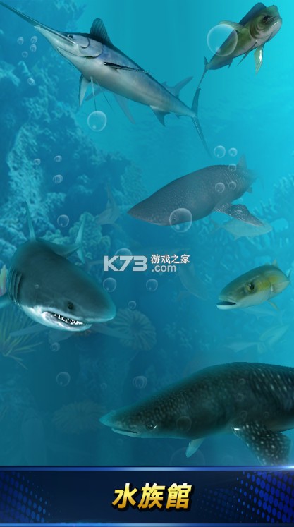 2021ƽ-2021޽Ұv0.3.1ʯ