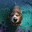 露西的狗 v1.0 游戏下载
