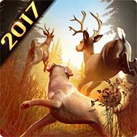 ��¹��2018 v5.1.5 ����