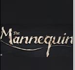 The Mannequin����-the mannequin��Ϸ����v1.0