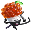 ��̰���˾��������-Dash Sushi Ninja��Ϸ����v1.0