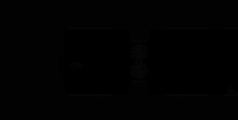 ��������׿��������-��������������v1.1.4