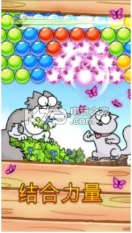 ���ɵ�è����ʱ������-���ɵ�è����ʱ����Ϸ����v1.0.1