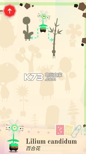 �п�ʵ��������-ֲ���������°汾����v2.1